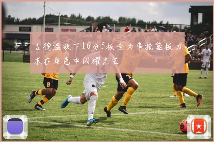 古德温砍下16分5板全力争抢篮板力求在角色中闪耀光芒